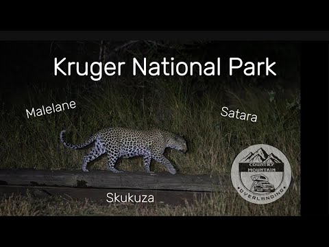 Camping in Kruger National Park with Lea - Her first visit to KNP