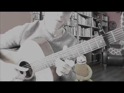 Martin Tallstrom Plays Tommy Emmanuel With ToneWoodAmp