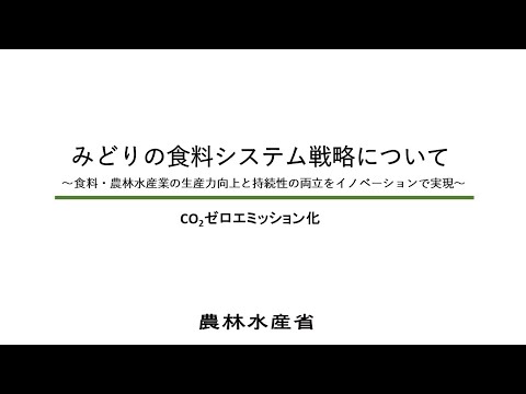 フリノケファルスについて詳しく解説