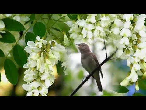 Снова мне вспоминается маленькая станция.