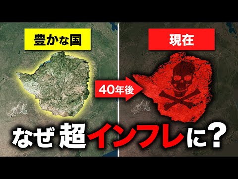 ドンヤ・ビジェラについて詳しく解説