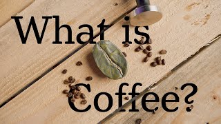 Unlocking the Secrets of Coffee Beans: A Beginner