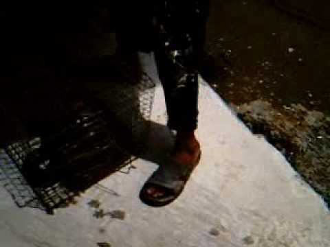 The kids and the little anaconda