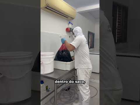 Qual a procedência do chouriço?