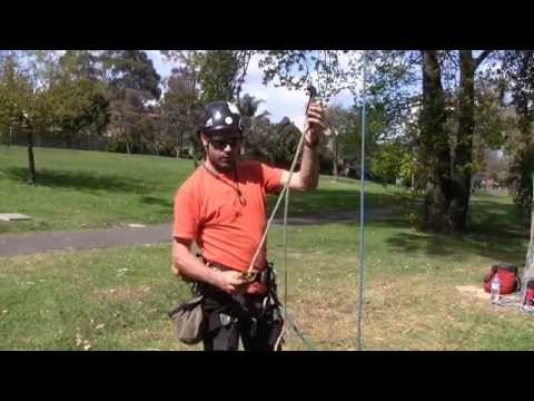 ATRAES MicroFrog SRT System