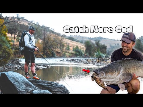 5 Tips for Better Murray Cod Fishing This Summer