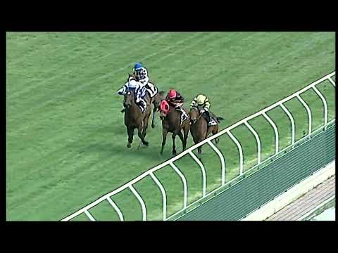 Napoli Galoppo 05/03/2022 - 1ª corsa