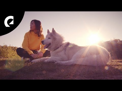 Revel Day - Still Fly (Official Mood Video)