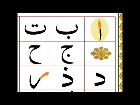 Anfi qaida safa no 8