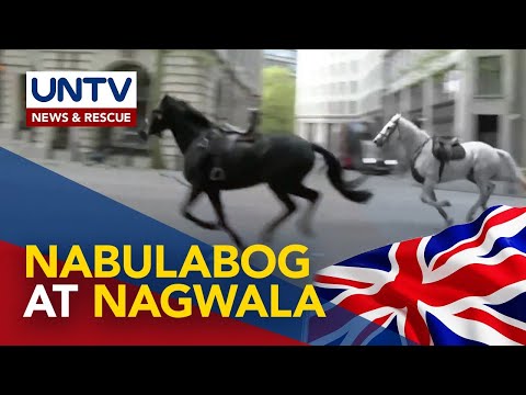 5 military horses, nabulabog at nakawala sa London, UK; 4 tao, sugatan
