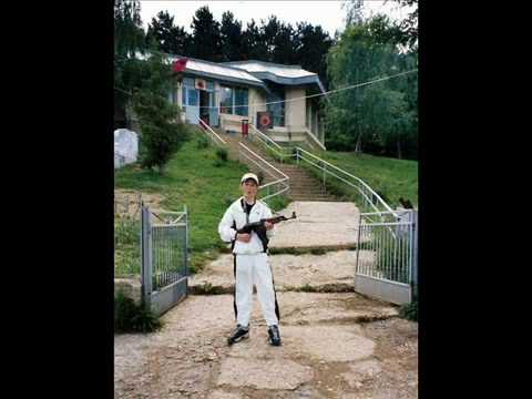 Prince Double H & DLS RSP - 100% Drenicak