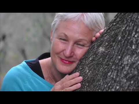 Impressionen vom Yogaheilraum und der Retreathütte in Mespelbrunn