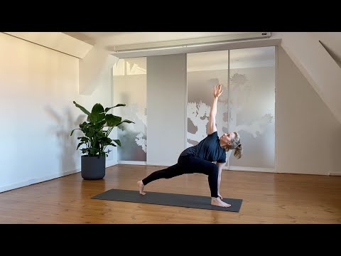 Vinyasa Basic Praxis - Die Yogapraxis Berlin