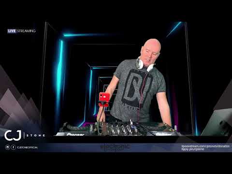 Electronic Pleasure by CJ Stone