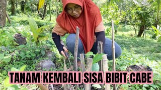 PANAS NIH…KEGIATAN DI KEBON TIPIS TIPIS SAJA‼️