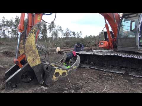 Gölmossen en täkt blir till