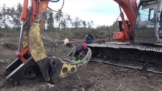 Gölmossen en täkt blir till