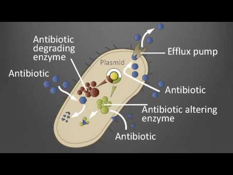 How do we combat antibiotic resistance?| Dag Berild | TEDxArendal