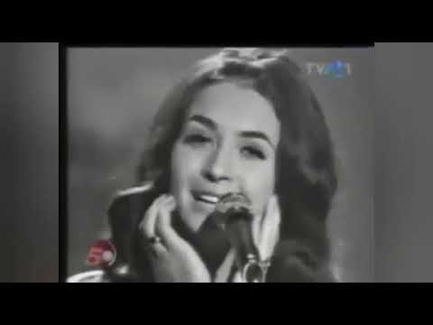 REMEMBER CERBUL DE AUR BRAȘOV ROMANIA