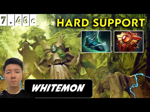 Whitemon Treant Protector Hard Support - Dota 2 Patch 7.40c Pro Player Full gameplay