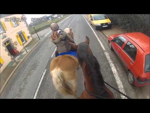 BALADE N°30 - Embarquez sur le dos des chevaux !