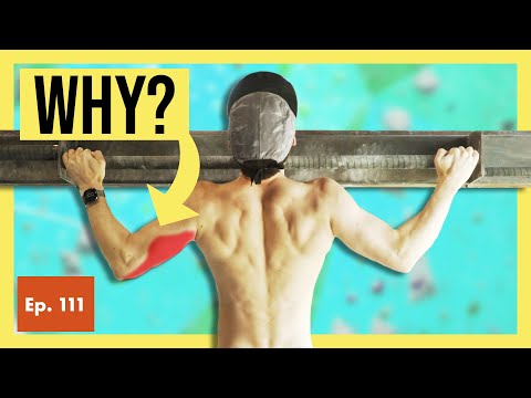 Which PULL UP is Right for You? (Risks and Biomechanics Explained)