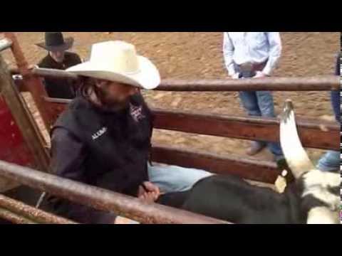 How to BULL RIDE   leaving the chute on a bucking bull