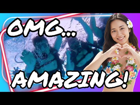 A group of beginners practicing SCUBA skills in the shallow waters of Honolulu.