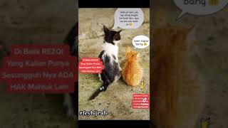 Download lagu Kucing Oyen Be SAD mp3