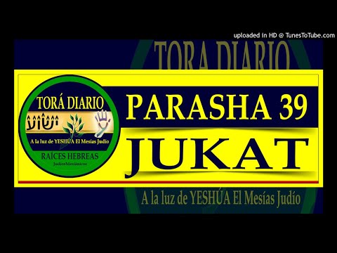 Parasha 39 Jukat, 6 aliya