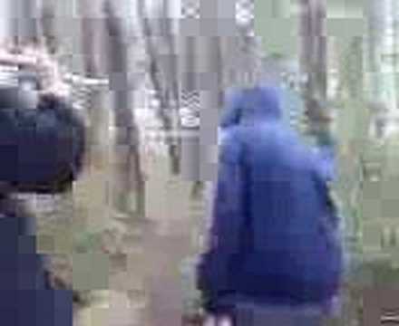 Gandalf and Moses strike to attack the Trees