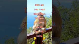 Download lagu Kata sindiran buat teman yang munafik #videoshorts #shorts mp3 Download lagu Kata sindiran buat teman yang munafik #videoshorts #shorts mp3