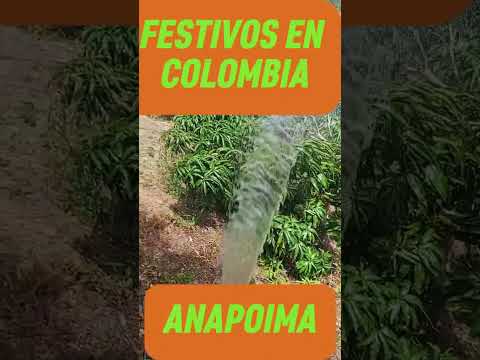alquiler de hermosas fincas en anapoima whatsapp 3202123028