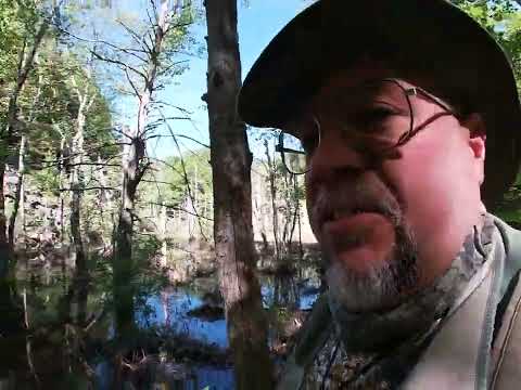 Beaver Pond GT Part 1