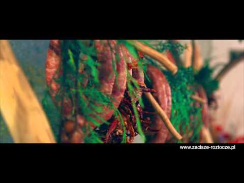 Krasnobród Karczma ZACISZE-ROZTOCZE