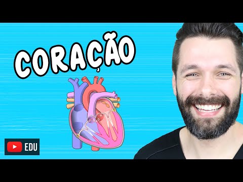 ANATOMIA DO CORAÇÃO - Fisiologia Cardíaca | Biologia com Samuel Cunha