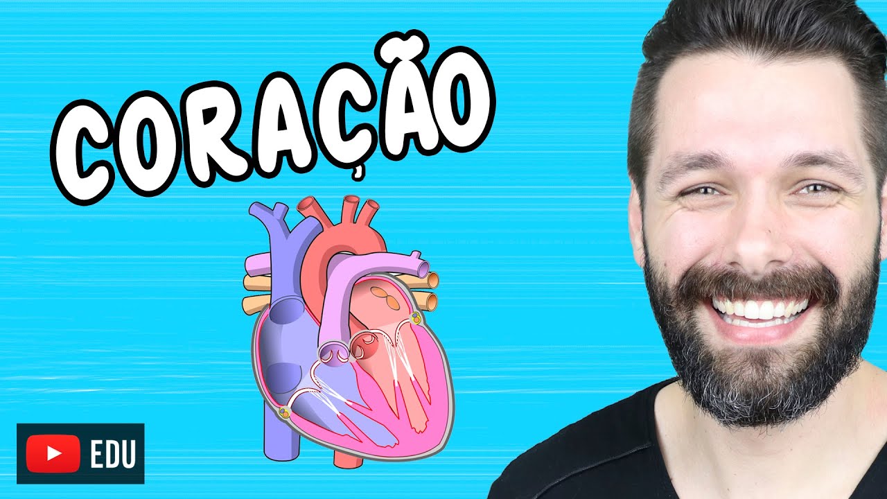 ANATOMIA DO CORAÇÃO - Fisiologia Cardíaca | Biologia com Samuel Cunha