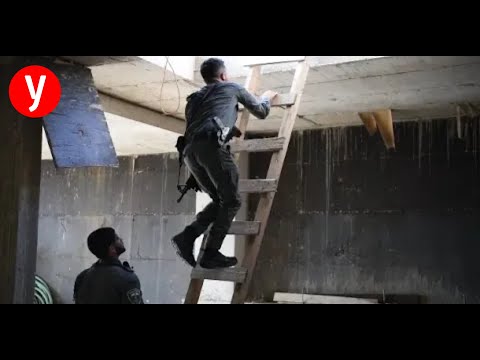 משמר הגבול במבצע אכיפה נגד עבירות שהייה בלתי חוקיות