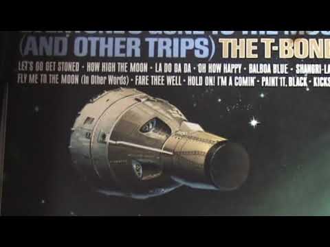 THE T-BONES - PAINT IT BLACK 1966