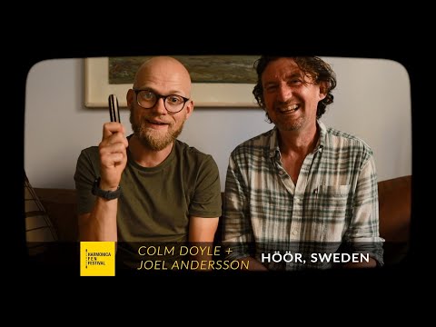 HARMONICA F E N FESTIVAL 2022 - JOEL ANDERSSON