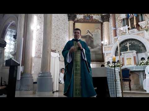 Homilia do Pe. Silvio Cesar, SDB, para o 33º Domingo do Tempo Comum