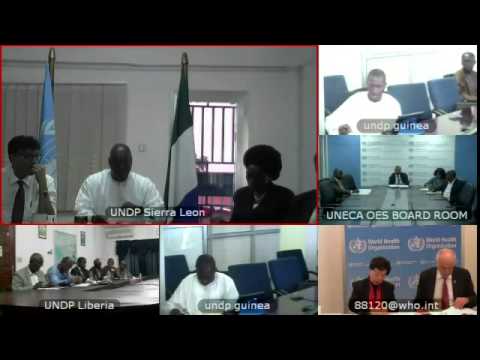 Guinea, Sierra Leone, Liberia, Mali on Ebola: A threat to sustainable development – ECOSOC