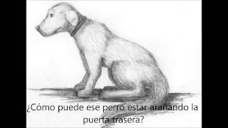 Edie Brickell &amp; New Bohemians - Ghost of a Dog (Subtitulada)