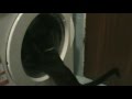 Funny Cat And Washing Machine