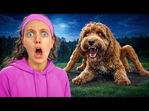 HOW DID THIS HAPPEN TO MY DOG...