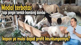 Download lagu Modal terbatas, tapi pingin ternak kambing domba, kapan ya mulai dapat profit keuntungannya? mp3 Download lagu Modal terbatas, tapi pingin ternak kambing domba, kapan ya mulai dapat profit keuntungannya? mp3