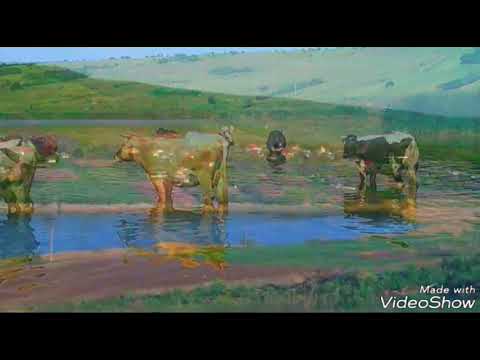 Satul Podu Oprii, comuna Bunești-Averești, județul Vaslui...