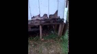 People NEED HELP, Sandy Bay First Nation