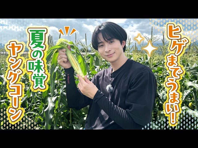 【夏の味覚】澤夏がヤングコーンを収穫！激ウマ料理も！