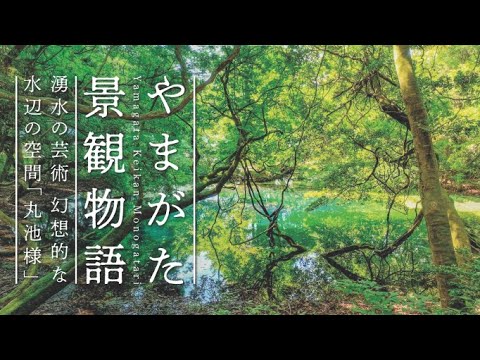 【4K空撮】53湧水の芸術 幻想的な水辺の空間「丸池様」〈やまがた景観物語〉